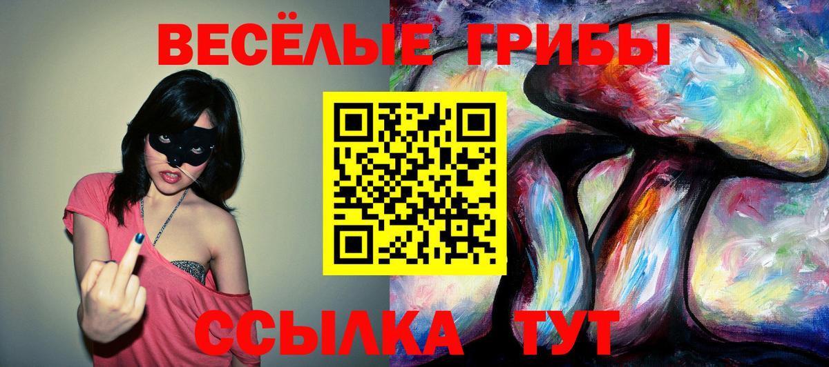 Псилоцибиновые грибы Magic Shrooms  Галлюциногенные грибы GOLDEN TEACHER  Вход с VPN  Буйнакск 